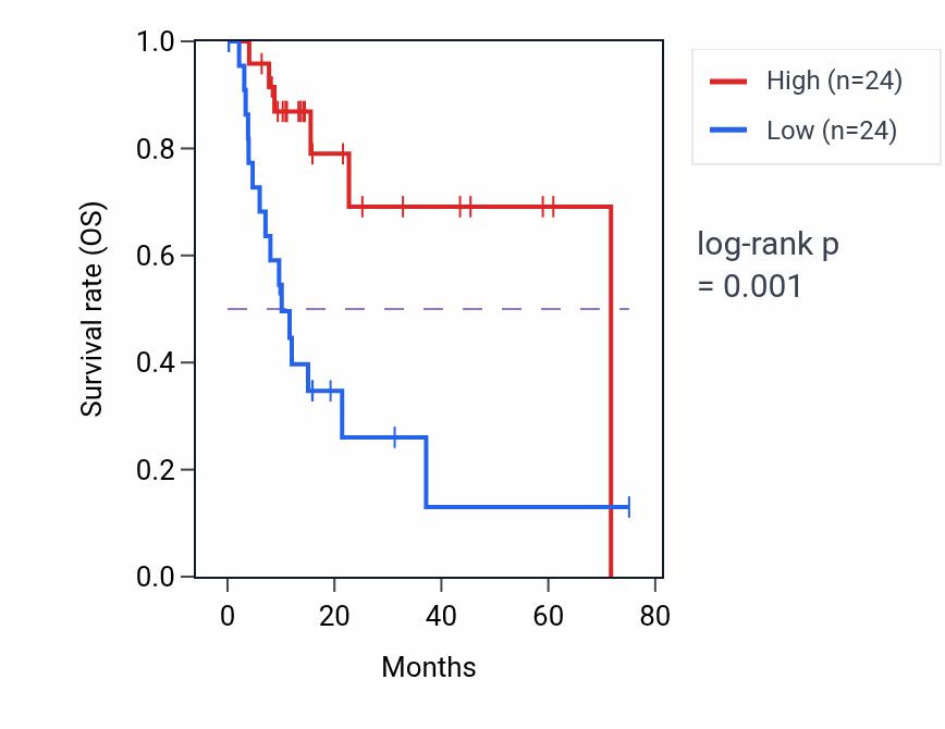 Kaplan&ndash;Meier survival curve for LINC02033 RNA expression in PAAD: high vs low expression groups.