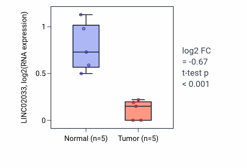 Tumor-vs-normal expression box plot for LINC02033 in COAD.