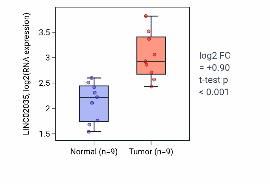 Tumor-vs-normal expression box plot for LINC02035 RNA in HNSC.