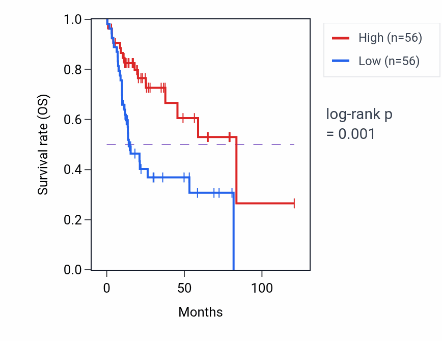Kaplan&ndash;Meier survival curve for LINC02037 RNA expression in LIHC: high vs low expression groups.