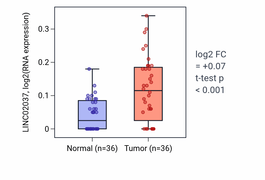 Tumor-vs-normal expression box plot for LINC02037 in KIRC.