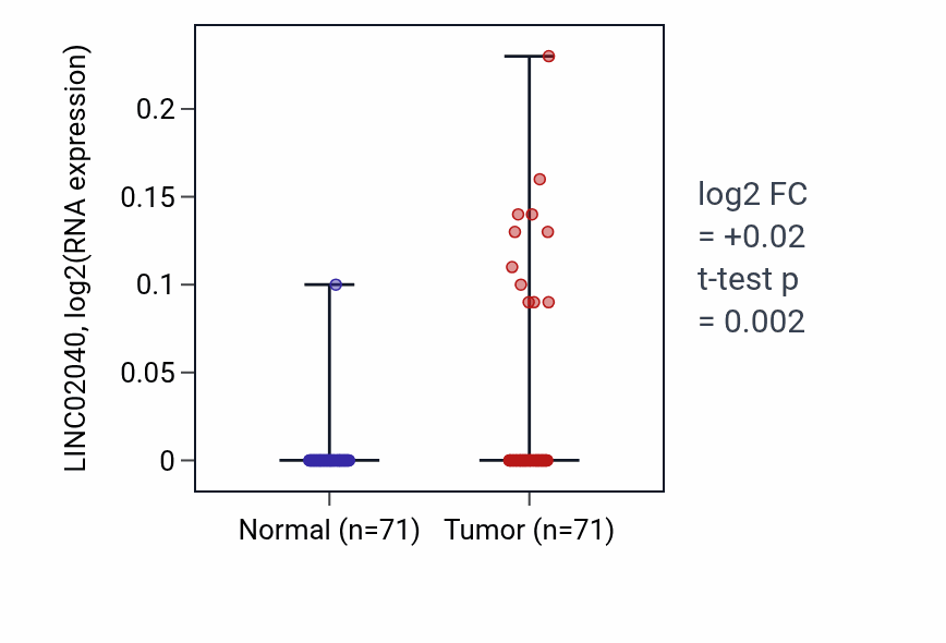 Tumor-vs-normal expression box plot for LINC02040 in KIRC.