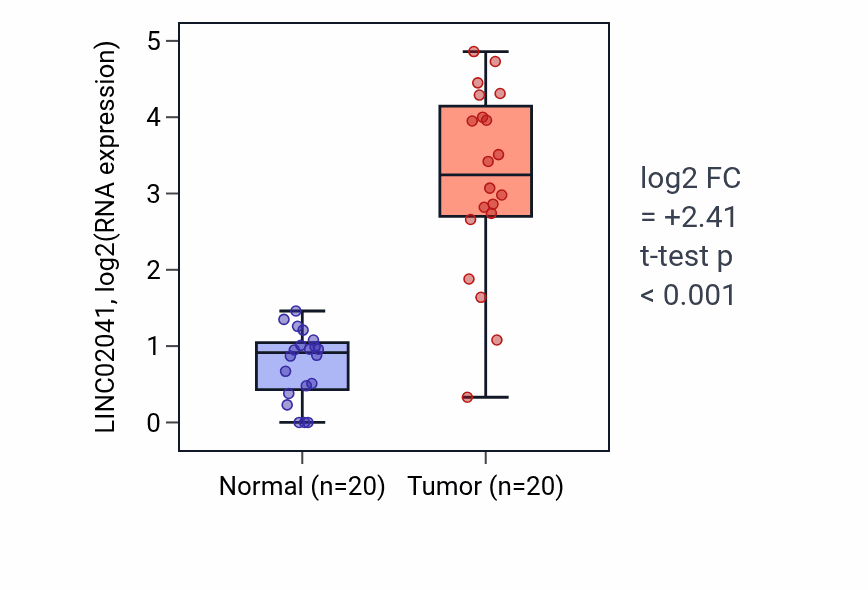 Tumor-vs-normal expression box plot for LINC02041 in KIRC.