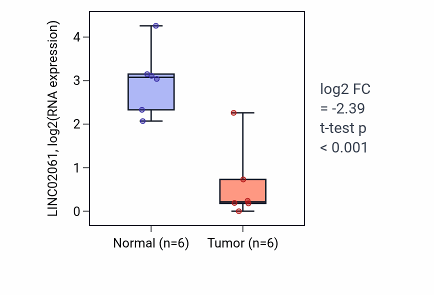 Tumor-vs-normal expression box plot for LINC02061 in KIRC.