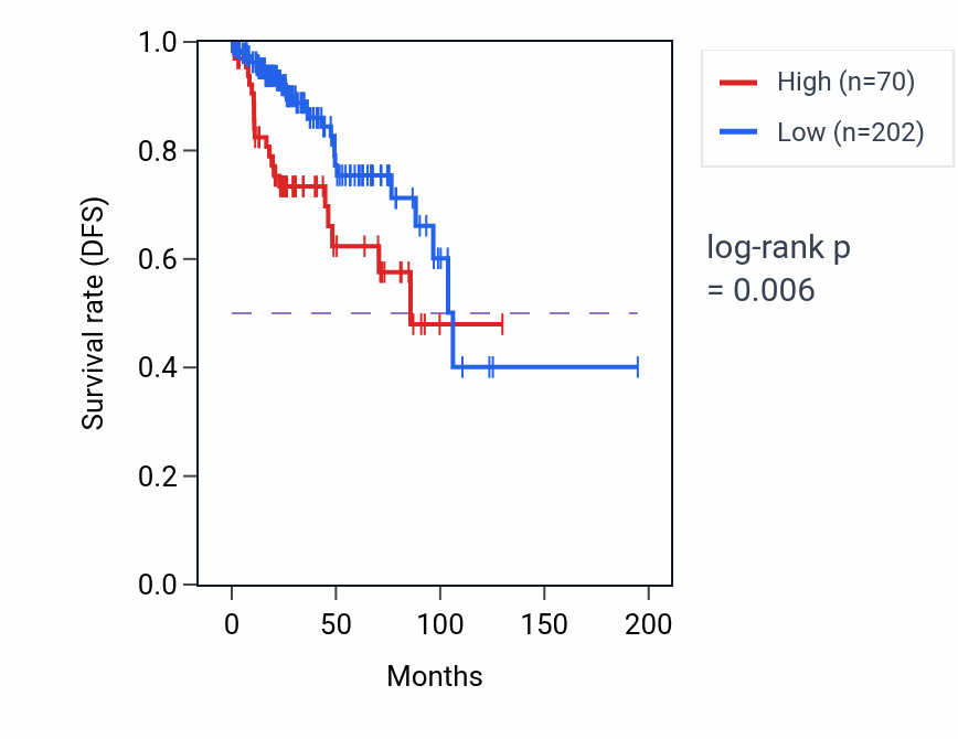 Kaplan&ndash;Meier survival curve for LINC02065 RNA expression in KIRP: high vs low expression groups.