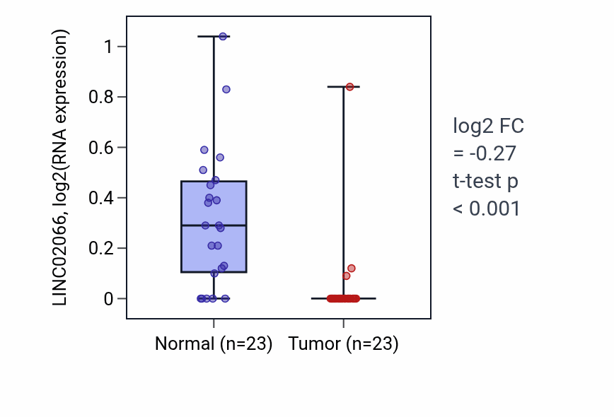 Tumor-vs-normal expression box plot for LINC02066 RNA in THCA.