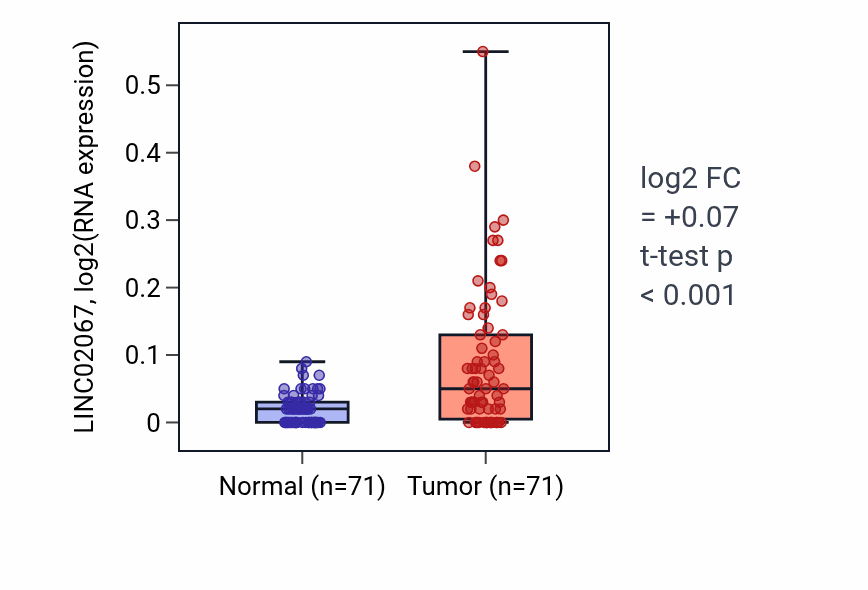 Tumor-vs-normal expression box plot for LINC02067 RNA in KIRC.