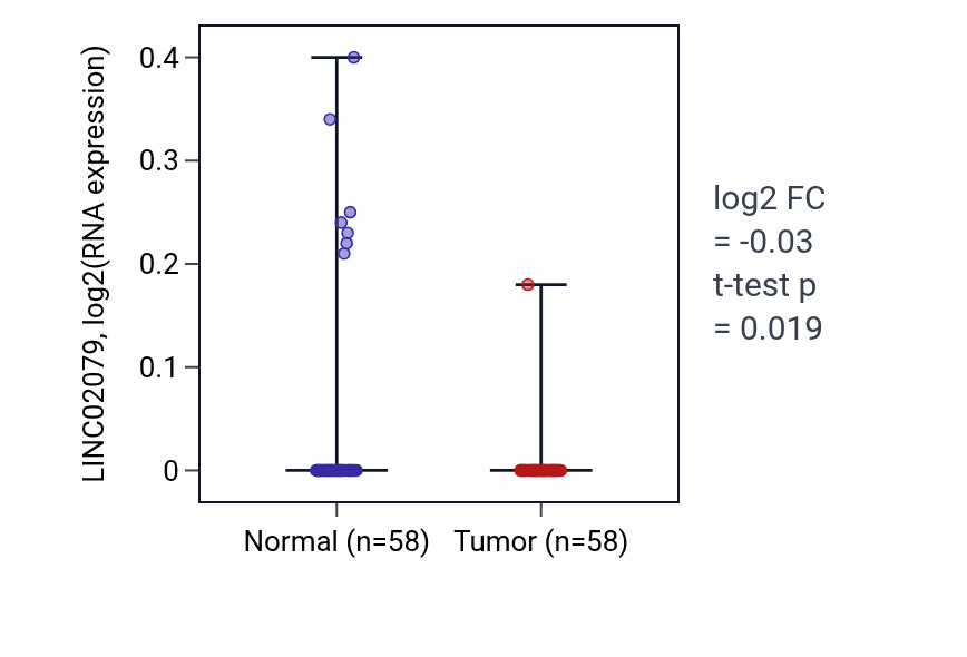 Tumor-vs-normal expression box plot for LINC02079 in THCA.