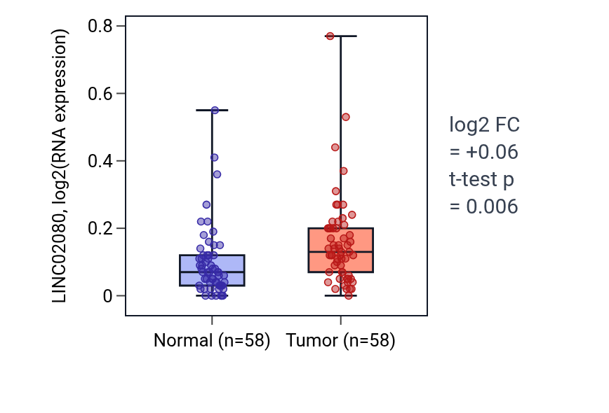 Tumor-vs-normal expression box plot for LINC02080 in THCA.