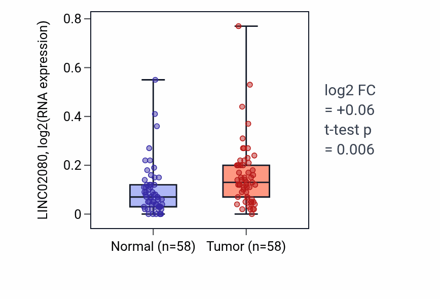 Tumor-vs-normal expression box plot for LINC02080 RNA in THCA.