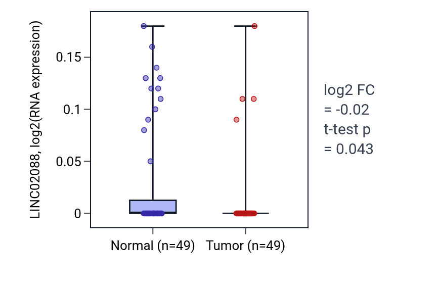 Tumor-vs-normal expression box plot for LINC02088 in LUSC.