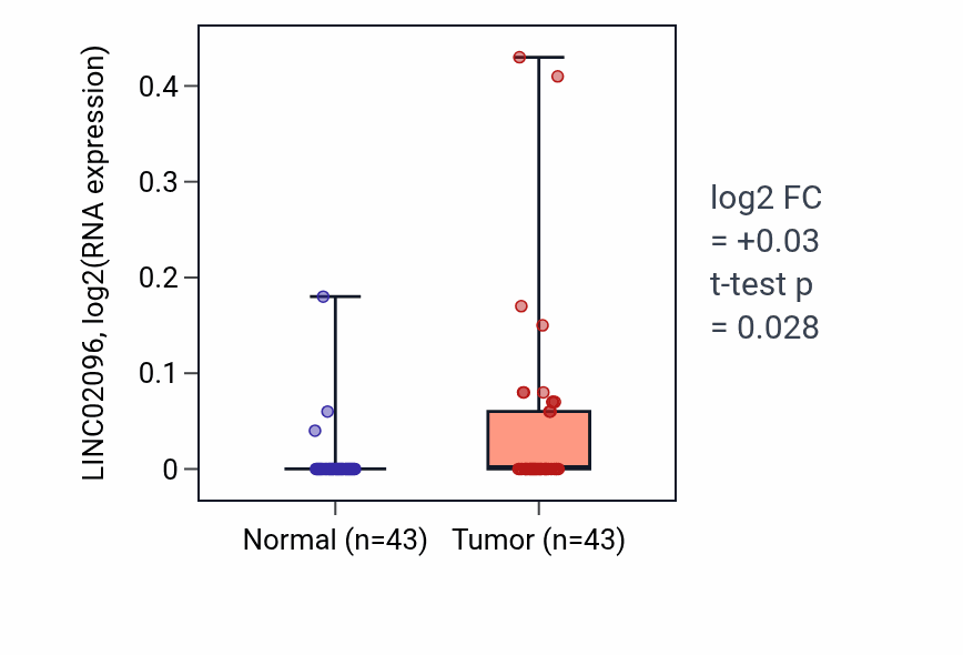 Tumor-vs-normal expression box plot for LINC02096 in HNSC.