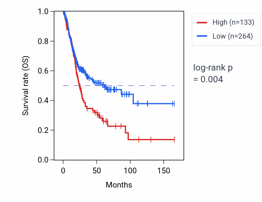 Kaplan&ndash;Meier survival curve for LINC02101 RNA expression in BLCA: high vs low expression groups.