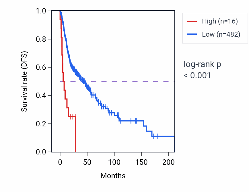 Kaplan&ndash;Meier survival curve for LINC02113 RNA expression in HNSC: high vs low expression groups.