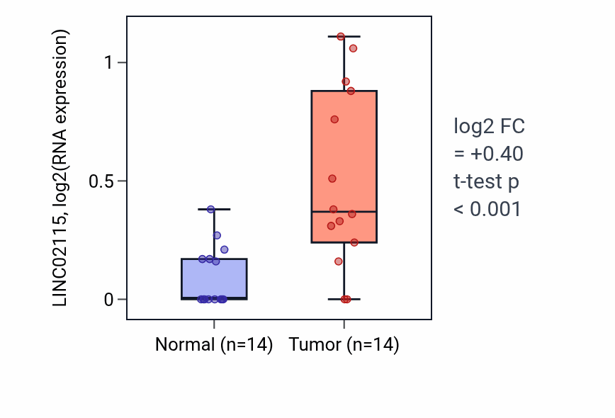Tumor-vs-normal expression box plot for LINC02115 in THCA.