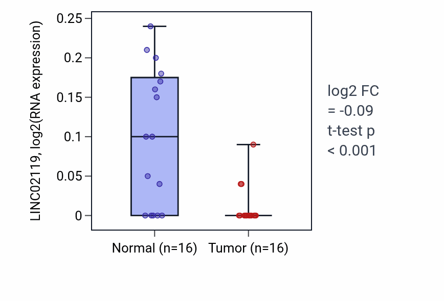 Tumor-vs-normal expression box plot for LINC02119 in KIRP.
