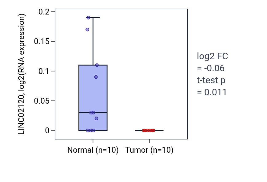 Tumor-vs-normal expression box plot for LINC02120 in KIRP.