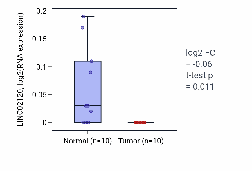 Tumor-vs-normal expression box plot for LINC02120 RNA in KIRP.
