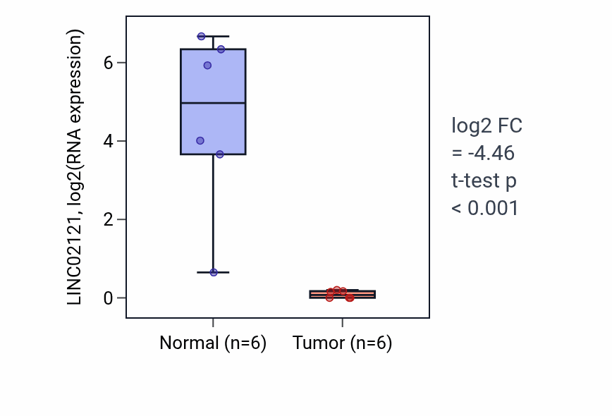 Tumor-vs-normal expression box plot for LINC02121 RNA in KIRC.