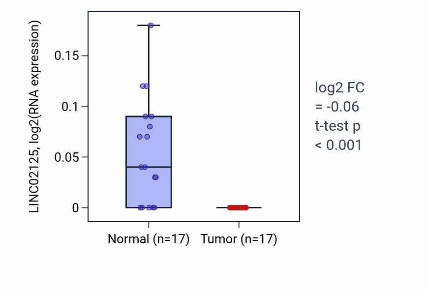 Tumor-vs-normal expression box plot for LINC02125 in THCA.
