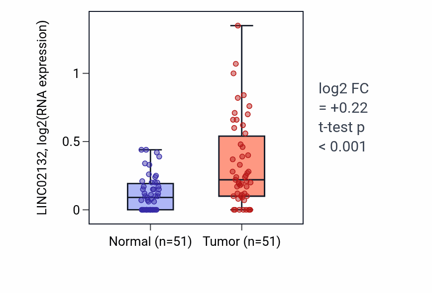 Tumor-vs-normal expression box plot for LINC02132 RNA in KIRC.