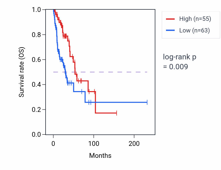 Kaplan&ndash;Meier survival curve for LINC02133 RNA expression in LUAD: high vs low expression groups.