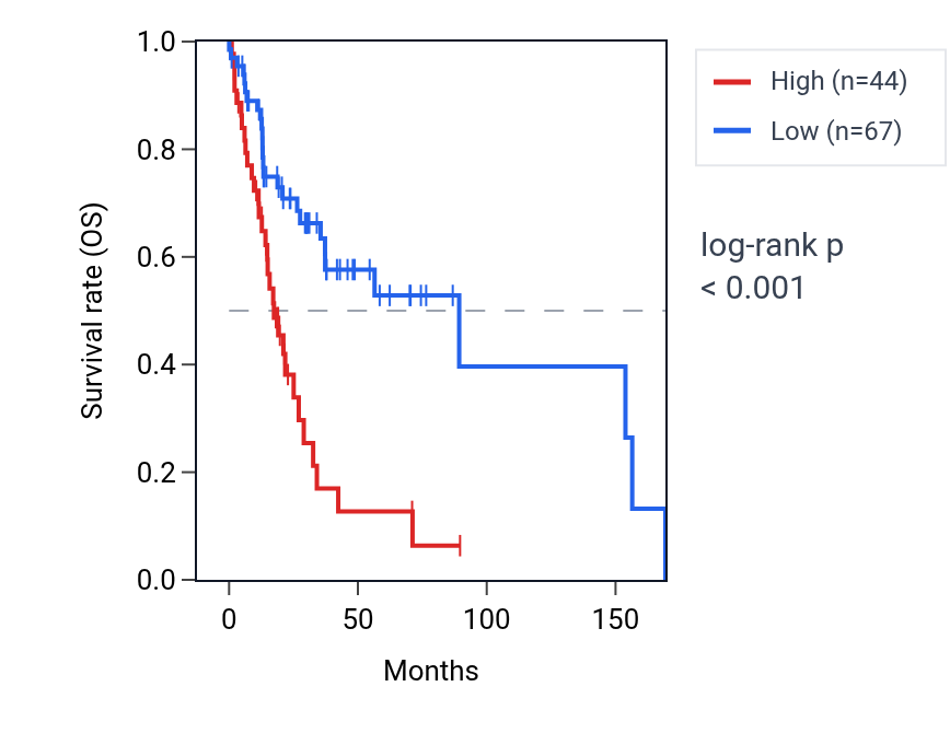 Kaplan&ndash;Meier survival curve for LINC02141 RNA expression in HNSC: high vs low expression groups.