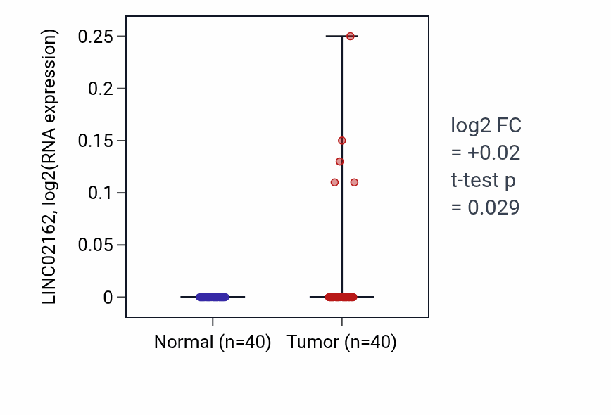 Tumor-vs-normal expression box plot for LINC02162 in HNSC.