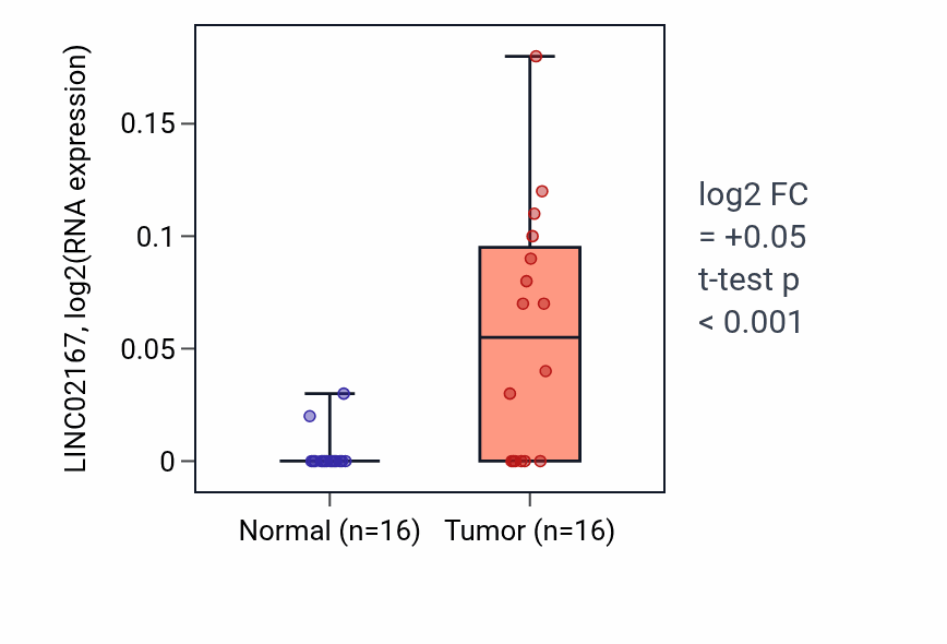 Tumor-vs-normal expression box plot for LINC02167 RNA in HNSC.