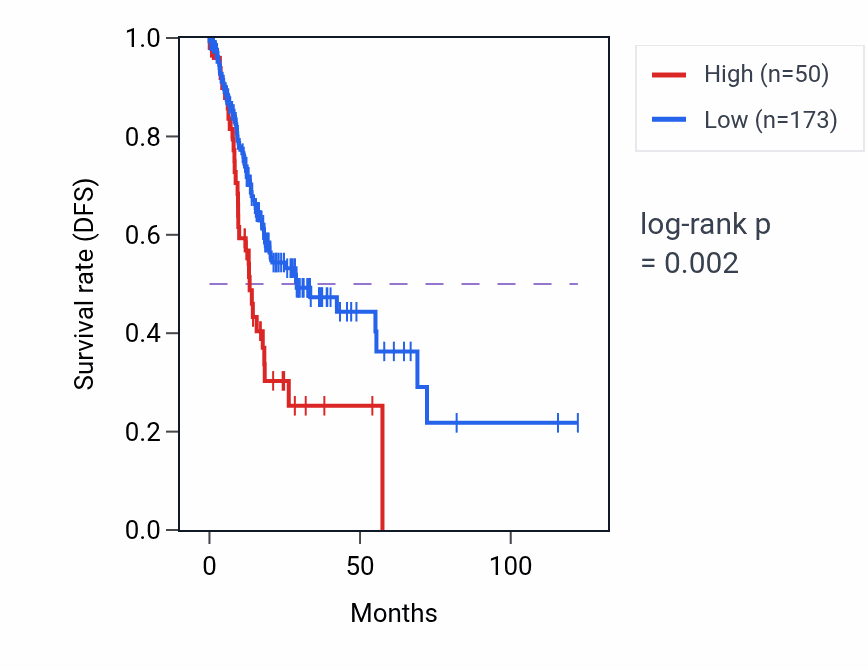 Kaplan&ndash;Meier survival curve for LINC02167 RNA-high vs -low samples in STAD.