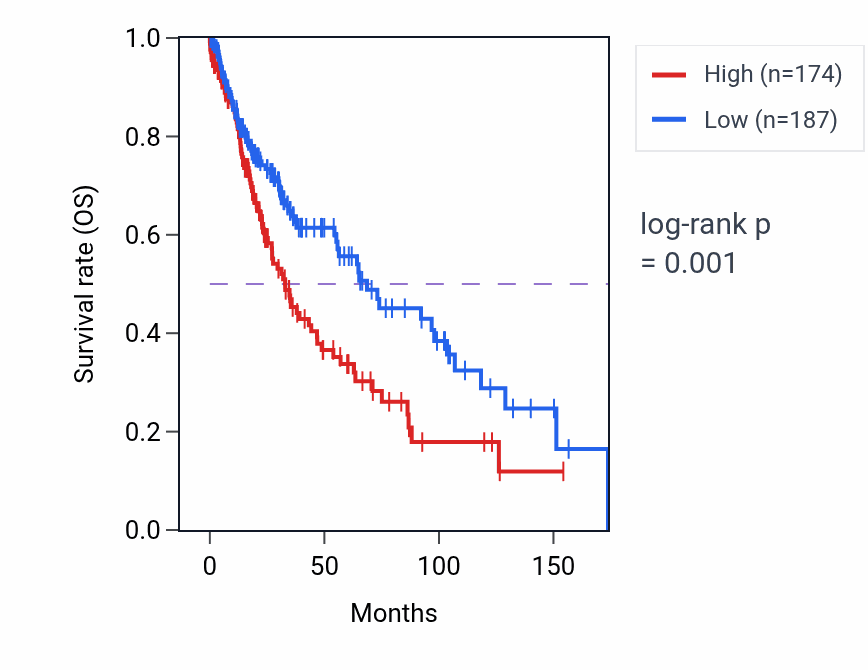 Kaplan&ndash;Meier survival curve for LINC02172 RNA expression in LUSC: high vs low expression groups.