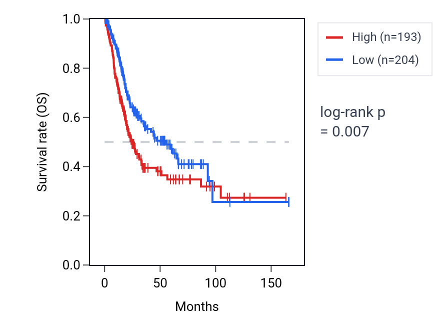 Kaplan&ndash;Meier survival curve for LINC02175 RNA expression in BLCA: high vs low expression groups.