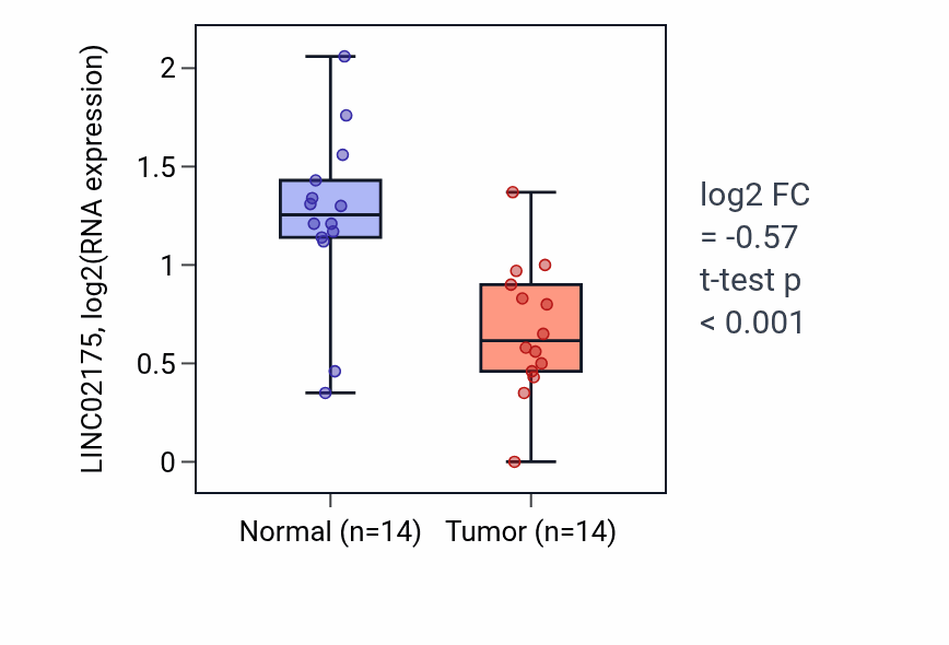 Tumor-vs-normal expression box plot for LINC02175 RNA in THCA.