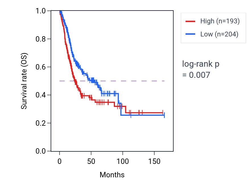 Kaplan&ndash;Meier survival curve for LINC02175 RNA-high vs -low samples in BLCA.