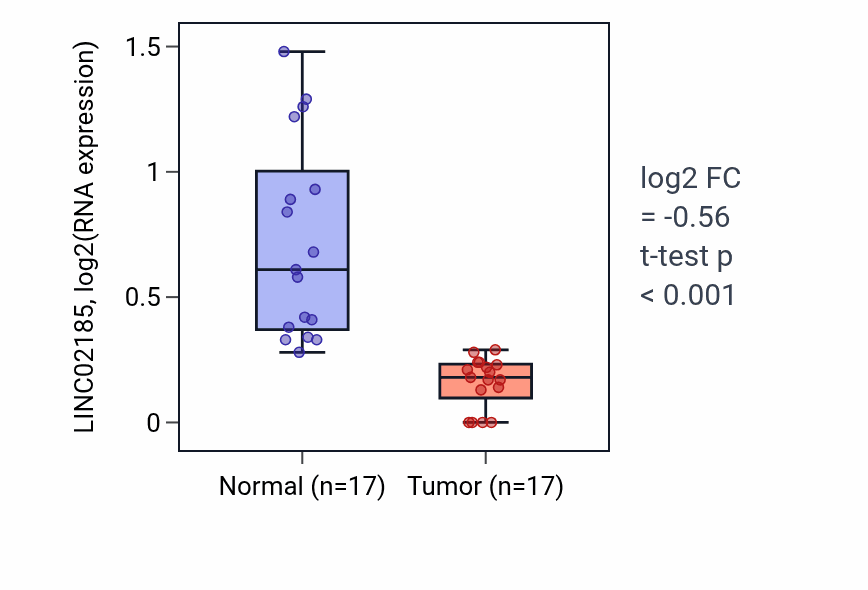 Tumor-vs-normal expression box plot for LINC02185 in COAD.