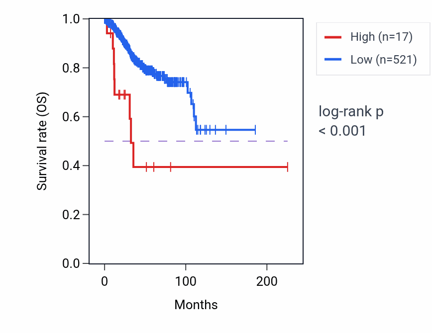 Kaplan&ndash;Meier survival curve for LINC02191 RNA expression in UCEC: high vs low expression groups.