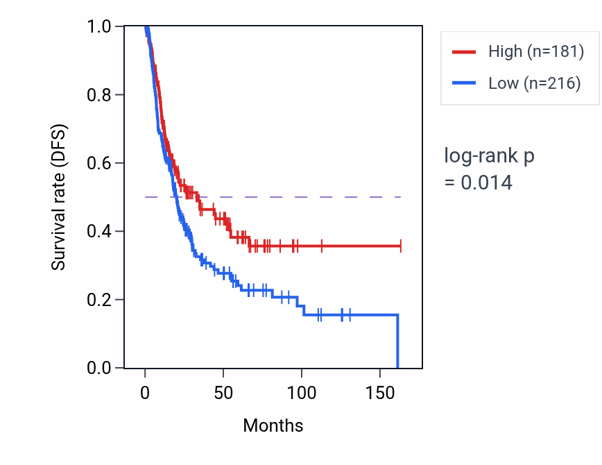 Kaplan&ndash;Meier survival curve for LINC02206 RNA expression in BLCA: high vs low expression groups.