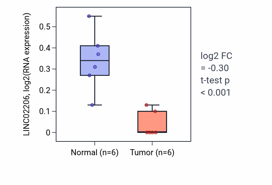 Tumor-vs-normal expression box plot for LINC02206 in LUSC.