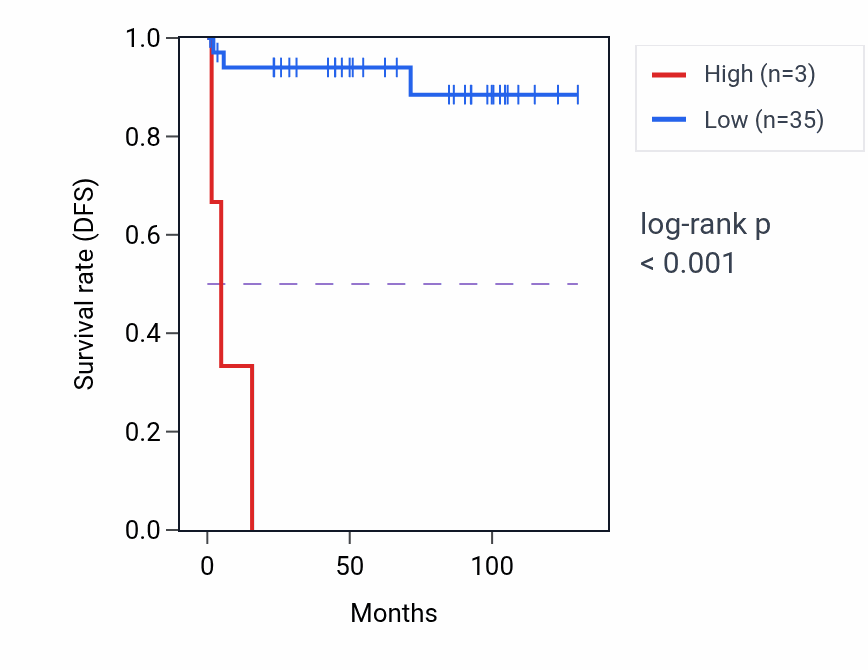 Kaplan&ndash;Meier survival curve for LINC02216 RNA expression in KICH: high vs low expression groups.
