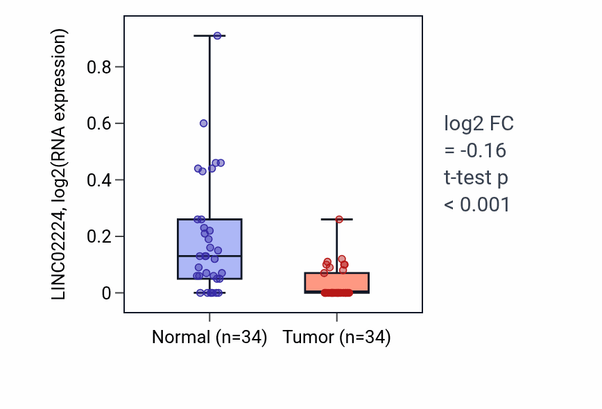 Tumor-vs-normal expression box plot for LINC02224 in KIRC.