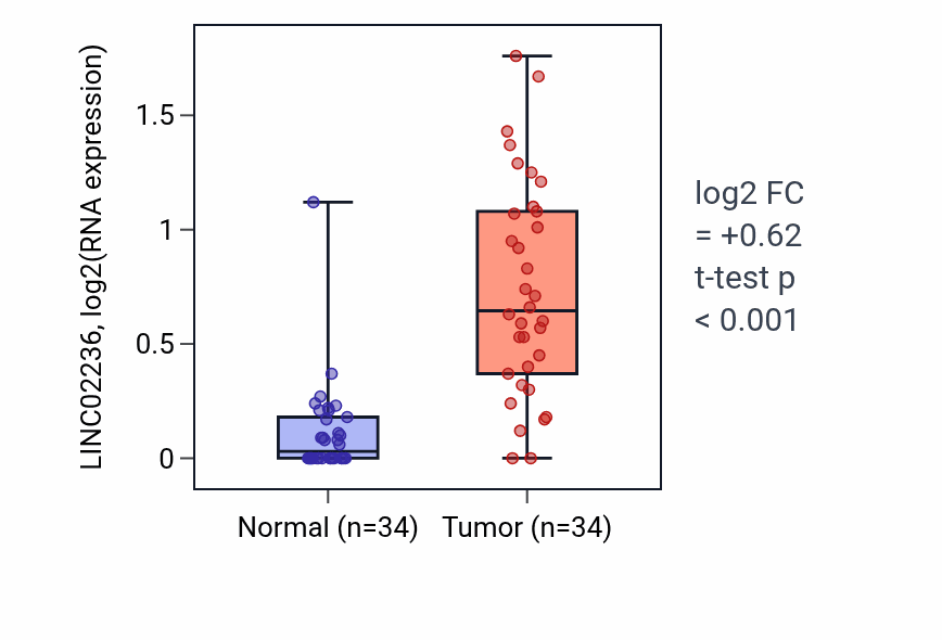 Tumor-vs-normal expression box plot for LINC02236 in KIRC.