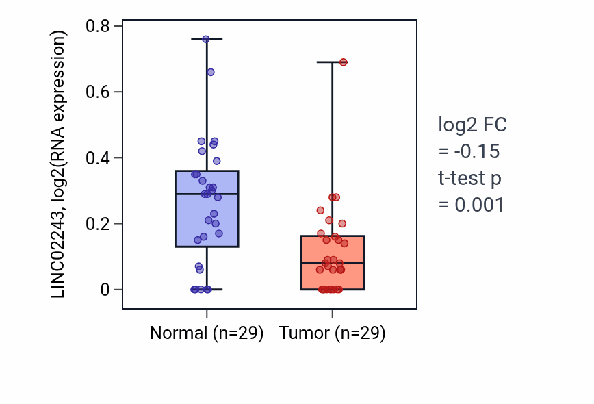 Tumor-vs-normal expression box plot for LINC02243 in HNSC.