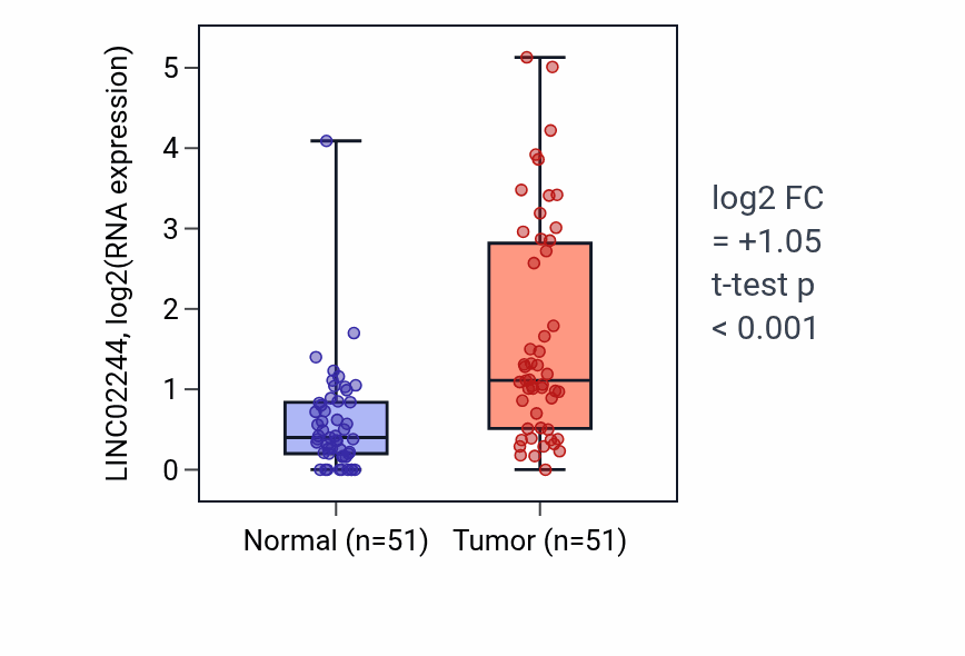 Tumor-vs-normal expression box plot for LINC02244 RNA in KIRC.
