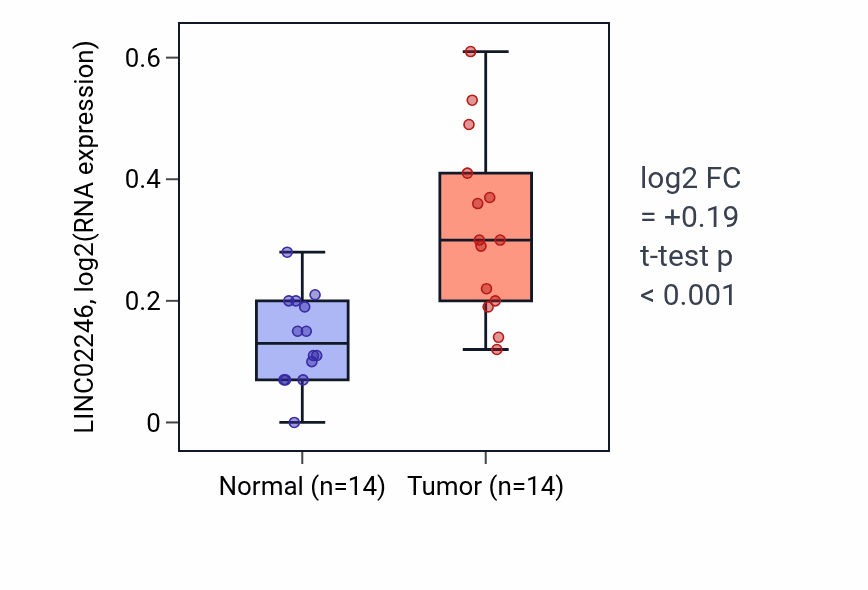 Tumor-vs-normal expression box plot for LINC02246 in HNSC.