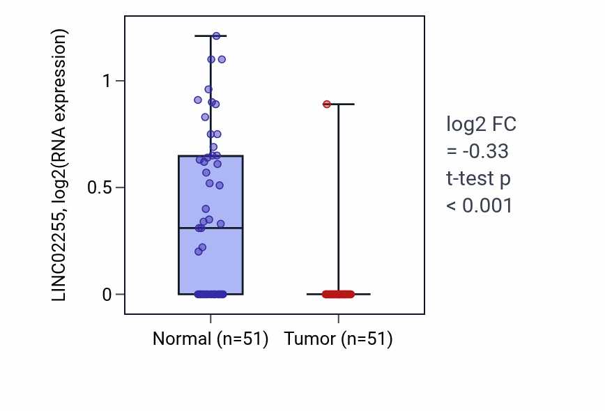 Tumor-vs-normal expression box plot for LINC02255 in KIRC.