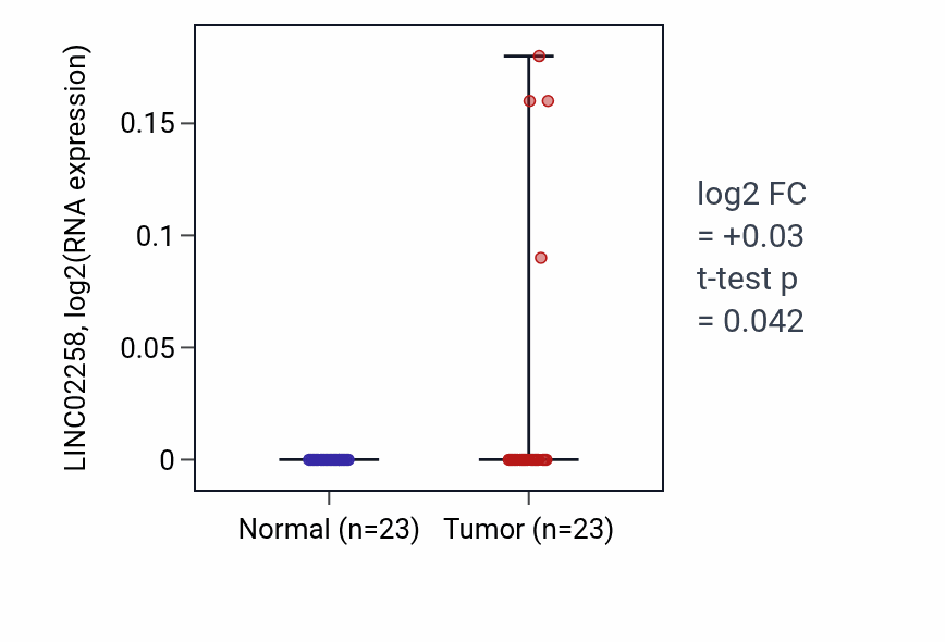 Tumor-vs-normal expression box plot for LINC02258 in THCA.