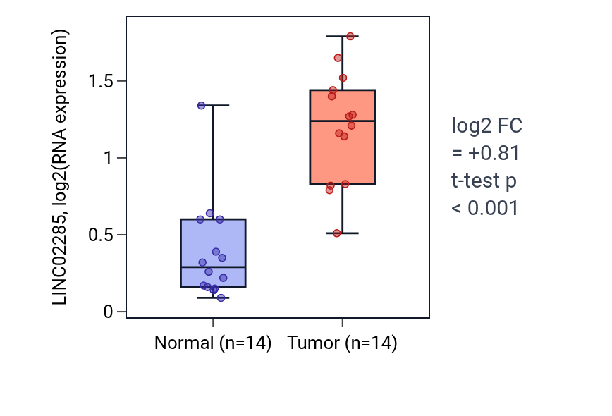 Tumor-vs-normal expression box plot for LINC02285 in KIRC.