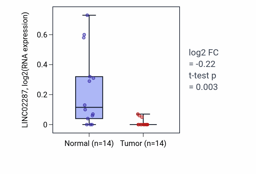 Tumor-vs-normal expression box plot for LINC02287 in BLCA.