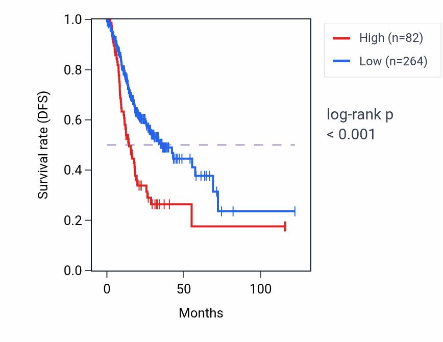 Kaplan&ndash;Meier survival curve for LINC02295 RNA expression in STAD: high vs low expression groups.