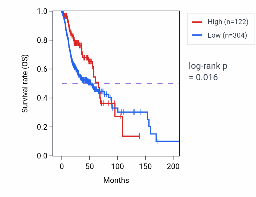 Kaplan&ndash;Meier survival curve for LINC02302 RNA expression in HNSC: high vs low expression groups.